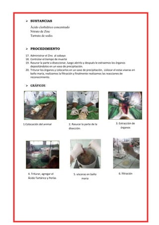  SUSTANCIAS
Ácido clorhídrico concentrado
Nitrato de Zinc
Tartrato de sodio.

 PROCEDIMIENTO
17. Administrar el Zinc al cobayo
18. Controlar el tiempo de muerte
19. Rasurar la parte a diseccionar, luego abrirlo y después le extraemos los órganos
depositándolos en un vaso de precipitación.
20. Triturar los órganos y colocarlos en un vaso de precipitación, colocar el estas viseras en
baño maría, realizamos la filtración y finalmente realizamos las reacciones de
reconocimiento

 GRÁFICOS


1.Colocación del animal

4. Triturar, agregar el
Ácido Tartárico y Perlas

2. Rasurar la parte de la
disección.

5. vísceras en baño
maria

3. Extracción de
órganos

6. filtración

 