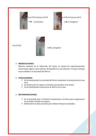 Con el Ferricianuro de K

Con el Ferrocianuro de K

(+) positivo

Con el H2S

(-) negativo

(-) negativo

 OBSERVACIONES:
Minutos después de la inducción del tóxico al animal de experimentación
observamos signos como euforia, desequilibrio y convulsiones. Y al poco tiempo
muere debido a la toxicidad del Hierro.
 CONCLUSIONES:
 Se ha demostrado la toxicidad del Hierro mediante la intoxicación de una
rata.
 Se observaron los signos y síntomas que produce este tóxico.
 Se ha identificado la presencia de Hierro en la rata.

 RECOMENDACIONES:
 Se recomienda jalar el émbolo al administrar el tóxico para asegurarnos
de no haber tomado un órgano.
 Administrar la dosis prevista para obtener buenos resultados.

40

 