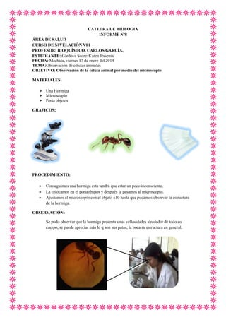 CATEDRA DE BIOLOGIA
INFORME Nº8
ÁREA DE SALUD
CURSO DE NIVELACIÓN V01
PROFESOR: BIOQUÍMICO. CARLOS GARCÍA.
ESTUDIANTE: Córdova SuarezKaren Jessenia
FECHA: Machala, viernes 17 de enero del 2014
TEMA:Observación de células animales
OBJETIVO: Observación de la célula animal por medio del microscopio
MATERIALES:
 Una Hormiga
 Microscopio
 Porta objetos
GRAFICOS:

PROCEDIMIENTO:
Conseguimos una hormiga esta tendrá que estar un poco inconsciente.
La colocamos en el portaobjetos y después la pasamos al microscopio.
Ajustamos al microscopio con el objeto x10 hasta que podamos observar la estructura
de la hormiga.
OBSERVACIÓN:
Se pudo observar que la hormiga presenta unas vellosidades alrededor de todo su
cuerpo, se puede apreciar más lo q son sus patas, la boca su estructura en general.

 