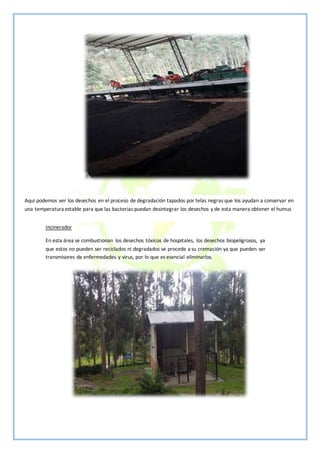 Incinerador
En esta área se combustionan los desechos tóxicos de hospitales, los desechos biopeligrosos, ya
que estos no pueden ser reciclados ni degradados se procede a su cremación ya que pueden ser
transmisores de enfermedades y virus, por lo que es esencial eliminarlos.
Aquí podemos ver los desechos en el proceso de degradación tapados por telas negras que los ayudan a conservar en
una temperatura estable para que las bacterias puedan desintegrar los desechos y de esta manera obtener el humus
 