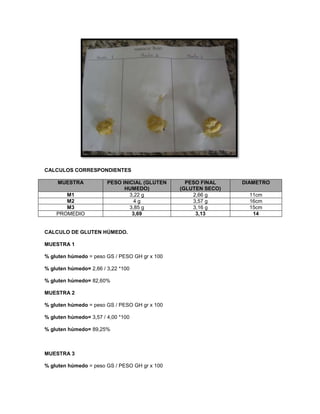 CALCULOS CORRESPONDIENTES
MUESTRA PESO INICIAL (GLUTEN
HUMEDO)
PESO FINAL
(GLUTEN SECO)
DIAMETRO
M1 3,22 g 2,66 g 11cm
M2 4 g 3,57 g 16cm
M3 3,85 g 3,16 g 15cm
PROMEDIO 3,69 3,13 14
CALCULO DE GLUTEN HÚMEDO.
MUESTRA 1
% gluten húmedo = peso GS / PESO GH gr x 100
% gluten húmedo= 2,66 / 3,22 *100
% gluten húmedo= 82,60%
MUESTRA 2
% gluten húmedo = peso GS / PESO GH gr x 100
% gluten húmedo= 3,57 / 4,00 *100
% gluten húmedo= 89,25%
MUESTRA 3
% gluten húmedo = peso GS / PESO GH gr x 100
 