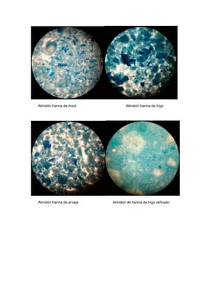 Almidón harina de maíz Almidón harina de trigo
Almidón harina de arveja Almidón de harina de trigo refinado
 