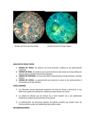 Almidón de harina de mala calidad Almidón de harina de trigo integral
ANALIZIS DE RESULTADOS
1. HARINA DE TRIGO.- Se observó una forma lenticular y esférica en las observaciones
realizadas
2. HARINA DE MAIZ.- Se observó que la granulometría de este cereal es de tipo esférica en
algunas partes y también tiene formas angulares.
3. HARINA DE CENTENO.- La forma del centeno básicamente es de tipo lenticular y también
esférica.
4. HARINA DE AVENA.- La granulometría que presento la avena en las observaciones al
microscopio es de tipo lenticular.
CONCLUSIONES
1. Las diferentes harinas observadas presentan una serie de formas y estructuras lo cual
determina el grado de endospermo, calidad que estas harinas van a tener.
2. La calidad de refinado que las harinas van a tener también van a ser establecidas
mediante los análisis de granulometría de los granos.
3. La determinación de estructuras además de agentes extraños que pueden tener las
harinas también pueden ser establecidas bajo estas pruebas
RECOMENDACIONES.
 