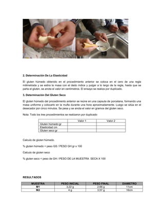 2. Determinación De La Elasticidad
El gluten húmedo obtenido en el procedimiento anterior se coloca en el cero de una regla
milimetrada y se estira la masa con el dedo índice y pulgar a lo largo de la regla, hasta que se
parta el gluten, se anota el valor en centímetros. El ensayo se realiza por duplicado.
3. Determinación Del Gluten Seco
El gluten húmedo del procedimiento anterior se reúne en una capsula de porcelana, formando una
masa uniforme y colocarlo en la mufla durante una hora aproximadamente. Luego se sitúa en el
desecador por cinco minutos. Se pesa y se anota el valor en gramos del gluten seco.
Nota: Todo los tres procedimientos se realizaron por duplicado
Valor 1 Valor 2
Gluten húmedo gr
Elasticidad cm
Gluten seco gr
Calculo de gluten húmedo.
% gluten húmedo = peso GS / PESO GH gr x 100
Calculo de gluten seco
% gluten seco = peso de GH / PESO DE LA MUESTRA SECA X 100
RESULTADOS
MUESTRA PESO INICIAL PESO FINAL DIAMETRO
M1 3,22 g 2,66 g 11cm
M2 4 g 3,57 g 16cm
 