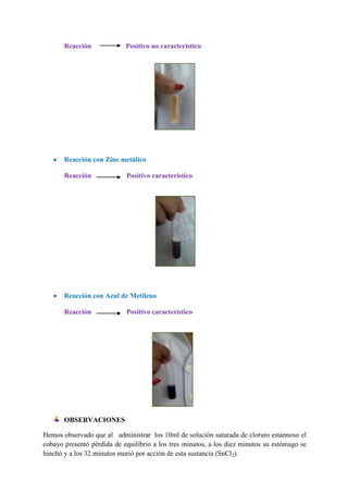 Reacción

Positivo no característico

Reacción con Zinc metálico
Reacción

Positivo característico

Reacción con Azul de Metileno
Reacción

Positivo característico

OBSERVACIONES
Hemos observado que al administrar los 10ml de solución saturada de cloruro estannoso el
cobayo presentó pérdida de equilibrio a los tres minutos, a los diez minutos su estómago se
hinchó y a los 32 minutos murió por acción de esta sustancia (SnCl2).

 