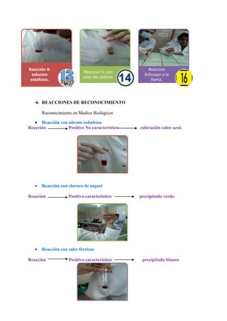 Reacción 4:
solucion
estañoso.

Reaccion 5: con
sales de cadmio.

Reaccion
6:Ensayo a la
llama.

REACCIONES DE RECONOCIMIENTO
Reconocimiento en Medios Biológicos
Reacción con nitrato cobaltoso
Reacción
Positivo No característico

coloración color azul.

Reacción con cloruro de níquel
Reacción

Positivo característico

precipitado verde.

Reacción con sales férricas
Reacción

Positivo característico

precipitado blanco

 