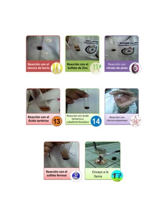 Reacción con el
cloruro de bario

Reacción con el
Sulfato de Zinc

Reacción con
nitrato de plata

Reacción con el
Ácido tartárico

Reacción con ácido
tartarico y
cobaltinitrilosodico

Reacción con
cloruro estannoso

Reacción con el
sulfato ferroso

Ensayo a la
llama

 