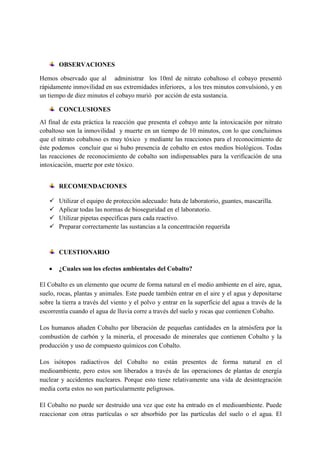 OBSERVACIONES
Hemos observado que al administrar los 10ml de nitrato cobaltoso el cobayo presentó
rápidamente inmovilidad en sus extremidades inferiores, a los tres minutos convulsionó, y en
un tiempo de diez minutos el cobayo murió por acción de esta sustancia.
CONCLUSIONES
Al final de esta práctica la reacción que presenta el cobayo ante la intoxicación por nitrato
cobaltoso son la inmovilidad y muerte en un tiempo de 10 minutos, con lo que concluimos
que el nitrato cobaltoso es muy tóxico y mediante las reacciones para el reconocimiento de
éste podemos concluir que si hubo presencia de cobalto en estos medios biológicos. Todas
las reacciones de reconocimiento de cobalto son indispensables para la verificación de una
intoxicación, muerte por este tóxico.
RECOMENDACIONES





Utilizar el equipo de protección adecuado: bata de laboratorio, guantes, mascarilla.
Aplicar todas las normas de bioseguridad en el laboratorio.
Utilizar pipetas específicas para cada reactivo.
Preparar correctamente las sustancias a la concentración requerida

CUESTIONARIO
¿Cuales son los efectos ambientales del Cobalto?
El Cobalto es un elemento que ocurre de forma natural en el medio ambiente en el aire, agua,
suelo, rocas, plantas y animales. Este puede también entrar en el aire y el agua y depositarse
sobre la tierra a través del viento y el polvo y entrar en la superficie del agua a través de la
escorrentía cuando el agua de lluvia corre a través del suelo y rocas que contienen Cobalto.
Los humanos añaden Cobalto por liberación de pequeñas cantidades en la atmósfera por la
combustión de carbón y la minería, el procesado de minerales que contienen Cobalto y la
producción y uso de compuesto químicos con Cobalto.
Los isótopos radiactivos del Cobalto no están presentes de forma natural en el
medioambiente, pero estos son liberados a través de las operaciones de plantas de energía
nuclear y accidentes nucleares. Porque esto tiene relativamente una vida de desintegración
media corta estos no son particularmente peligrosos.
El Cobalto no puede ser destruido una vez que este ha entrado en el medioambiente. Puede
reaccionar con otras partículas o ser absorbido por las partículas del suelo o el agua. El

 