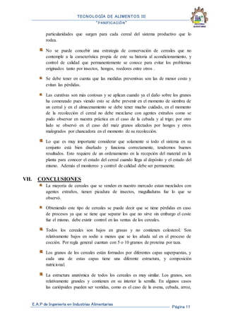 TECNOLOGÍA DE ALIMENTOS III
“PANIFICACIÓN”
E.A.P de Ingeniería en Industrias Alimentarias
Página 11
particularidades que surgen para cada cereal del sistema productivo que lo
rodea.
No se puede concebir una estrategia de conservación de cereales que no
contemple a la característica propia de este su historia al acondicionamiento, y
control de calidad que permanentemente se conoce para evitar los problemas
originados tanto por insectos, hongos, roedores entre otros .
Se debe tener en cuenta que las medidas preventivas son las de menor costo y
evitan las pérdidas.
Las curativas son más costosas y se aplican cuando ya el daño sobre los granos
ha comenzado pues viendo esto se debe prevenir en el momento de siembra de
un cereal y en el almacenamiento se debe tener mucho cuidado, en el momento
de la recolección el cereal no debe mezclarse con agentes extraños como se
pudo observar en nuestra práctica en el caso de la cebada y al trigo; por otro
lado se observó en el caso del maíz granos afectados por hongos y otros
malogrados por chancadora en el momento de su recolección.
Lo que es muy importante considerar que solamente si todo el sistema en su
conjunto está bien diseñado y funciona correctamente, tendremos buenos
resultados. Esto requiere de un ordenamiento en la recepción del material en la
planta para conocer el estado del cereal cuando llega al depósito y el estado del
mismo. Además el monitoreo y control de calidad debe ser permanente.
VII. CONCLUSIONES
La mayoría de cereales que se venden en nuestro mercado estan mezclados con
agentes extraños, tienen picadura de insectos, magulladuras fue lo que se
observó.
Obteniendo este tipo de cereales se puede decir que se tiene pérdidas en caso
de procesos ya que se tiene que separar los que no sirve sin embargo el coste
fue el mismo, debe existir control en las ventas de los cereales.
Todos los cereales son bajos en grasas y no contienen colesterol. Son
relativamente bajos en sodio a menos que se les añada sal en el proceso de
cocción. Por regla general cuentan con 5 o 10 gramos de proteína por taza.
Los granos de los cereales están formados por diferentes capas superpuestas, y
cada una de estas capas tiene una diferente estructura, y composición
nutricional.
La estructura anatómica de todos los cereales es muy similar. Los granos, son
relativamente grandes y contienen en su interior la semilla. En algunos casos
las cariópsides pueden ser vestidas, como es el caso de la avena, cebada, arroz,
 