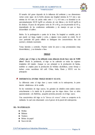 TECNOLOGÍA DE ALIMENTOS III
“PANIFICACIÓN”
E.A.P de Ingeniería en Industrias Alimentarias
Página 18
El tamaño del grano depende de la influencia del ambiente y sus dimensiones
varían como sigue: sin la borba alcanza una longitud máxima de 9.5 mm y una
mínima de 6.0 mm; de ancho mide entre 1 .5 y 4.0 mm y su densidad es de
aproximadamente 60.50 kg/Hl en cebadas de seis hileras y de 66.40 kg/Hl en
las dísticas. El peso de mil granos varía de 30 a 60 g, con un promedio de 45 q,
dependiendo de las condiciones ambientales y de manejo en que se haya
desarrollado el cultivo.
Barba. Es la prolongación o punta de la lema. Su longitud es variable, por lo
que puede ser larga, regular o corta, y algunas veces puede no existir. En el
caso particular del grano trillado se distinguen dos características: lisa (sin
aserrar) y dentada (aserrada).
Venas laterales y centrales. Pueden variar de poco a muy pronunciadas (muy
desarrolladas), y ser dentadas o lisas.
TRIGO
¿Sabes que el trigo se ha utilizado como alimento desde hace más de 9.000
años? Desde la prehistoria, el trigo se ha cultivado en todas las regiones
templadas del mundo. Aunque su uso principal es la producción de harina,
también se emplea para la producción de bebidas alcohólicas, como forraje e
incluso como sucedáneo del café. China, India, Rusia y EEUU son los
principales
DIFERENCIA ENTRE TRIGO DURO Y SUAVE:
La diferencia entre el trigo duro y suave reside en la endospermo, la parte
interior almidonosa de la semilla.
En las variedades de trigo suaves, los gránulos de almidón están unidos menos
estrechamente a la matriz de la proteína que los trigos duros. Esto se debe
aparentemente a la friabilina, pequeño proteína presente en el trigo suave.
Una característica del trigo es la "dureza de rotura" cómo se comporta en la
molienda lo cual esta relacionado con el grosor de la pared del endospermo.
III.- MATERIALES
 Molino
 Balanza
 Tamices
 Bolsas de papel
 Sacos de tela
 