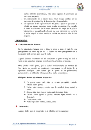 TECNOLOGÍA DE ALIMENTOS III
“PANIFICACIÓN”
E.A.P de Ingeniería en Industrias Alimentarias
Página 5
ciertos nutrientes (aumentando, entre otros aspectos, la proporción de
nutrientes por peso).
 El procesamiento en sí mismo puede traer consigo cambios en los
nutrientes (la germinación, la fermentación, el sancochado).
 La separación de las capas exteriores del grano, a pesar de que causa la
pérdida de algunos nutrientes, puede resultar provechosa. Por ejemplo,
la tanina se concentra en las capas exteriores del sorgo, por lo que su
eliminación es esencial desde el punto de vista nutricional. Al convertir
el arroz integral en arroz blanco se obtiene un producto más fácil de
preparar.
UTILIZACIÓN:
En la Alimentación Humana
En la alimentación humana son el trigo, el arroz y luego el maíz los que
principalmente se utiliza hoy en día. La cebada se utiliza principalmente en la
fabricación de la cerveza para hacer la malta.
Algunos cereales secundarios se han convertido al gusto de hoy día con la
vuelta a una agricultura orgánica como la espelta, el centeno o la avena.
Otras plantas como quinua, que se cultiva tradicionalmente en América del
Sur, tienen un mercado en crecimiento, especialmente en el ámbito de la
agricultura ecológica. Cabe aclarar que la quinua es un pseudocereal,
perteneciente a la subfamilia Chenopodioideae de las amarantáceas.
Principales formas de consumo de cereales:
 En granos: arroz, maíz, trigo (a menudo precocido), escanda,
cebada, avena, quinua;
 Harina: trigo, centeno, espelta, para la pastelería (pan, pastas) y
tortas;
 Sémola: trigo duro (cuscús pasta), maíz (polenta), fonio;
 Gachas: avena (gruau o gachas: alimento inglés tomada en el
desayuno);
 Copos: avena; maiz
 Pasta: trigo duro, centeno, espelta, arroz.
Industriales
Algunos de los usos de los cereales en la industria son los siguientes:
 