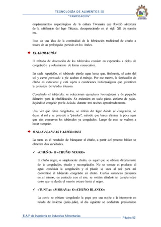 TECNOLOGÍA DE ALIMENTOS III
“PANIFICACIÓN”
E.A.P de Ingeniería en Industrias Alimentarias
Página 52
emplazamientos arqueológicos de la cultura Tiwanaku que floreció alrededor
de la altiplanicie del lago Titicaca, desapareciendo en el siglo XII de nuestra
era.
Esto da una idea de la continuidad de la fabricación tradicional de chuño a
través de un prolongado período en los Andes.
ELABORACIÓN
El método de desecación de los tubérculos consiste en exponerlos a ciclos de
congelación y soleamiento de forma consecutiva.
En cada repetición, el tubérculo pierde agua hasta que, finalmente, el calor del
sol y cierto prensado a pie acaban el trabajo. Por ese motivo, la fabricación de
chuño es estacional y está sujeta a condiciones meteorológicas que garanticen
la presencia de heladas intensas.
Cosechado el tubérculo, se seleccionan ejemplares homogéneos y de pequeño
diámetro para la chuñificación. Se extienden en suelo plano, cubierto de pajas,
dejándose congelar por la helada, durante tres noches aproximadamente.
Una vez que están congelados, se retiran del lugar donde se congelaron, se
dejan al sol y se procede a "pisarlos", método que busca eliminar la poca agua
que aún conserven los tubérculos ya congelados. Luego de esto se vuelven a
hacer congelar.
OTRAS PLANTAS VARIEDADES
La tunta es el resultado de blanquear el chuño, a partir del proceso básico se
obtienen dos variedades.
 «CHUÑO» O «CHUÑO NEGRO»
El chuño negro, o simplemente chuño, es aquel que se obtiene directamente
de la congelación, pisado y recongelación. No se somete el producto al
agua: concluida la congelación y el pisado se seca al sol, para así
convertirse el tubérculo congelado en chuño. Ciertas sustancias presentes
en el mismo, en contacto con el aire, se oxidan dándole un característico
color que va desde el marrón oscuro hasta el negro.
 «TUNTA» «MORAYA» O «CHUÑO BLANCO»
La tunta se obtiene congelando la papa por una noche a la intemperie en
helada de invierno (junio-julio), al día siguiente se deshidrata presionando
 