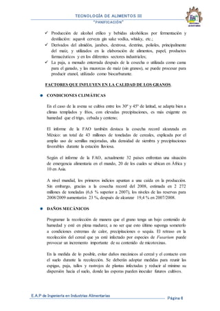 TECNOLOGÍA DE ALIMENTOS III
“PANIFICACIÓN”
E.A.P de Ingeniería en Industrias Alimentarias
Página 6
 Producción de alcohol etílico y bebidas alcohólicas por fermentación y
destilación: aquavit cerveza gin sake vodka, whisky, etc.;
 Derivados del almidón, jarabes, dextrosa, dextrina, polioles, principalmente
del maíz, y utilizados en la elaboración de alimentos, papel, productos
farmacéuticos y en los diferentes sectores industriales;
 La paja, a menudo enterrada después de la cosecha o utilizada como cama
para el ganado, y las mazorcas de maíz (sin granos), se puede procesar para
producir etanol, utilizado como biocarburante.
FACTORES QUE INFLUYEN EN LA CALIDAD DE LOS GRANOS.
CONDICIONES CLIMÁTICAS
En el caso de la avena se cultiva entre los 30º y 45º de latitud, se adapta bien a
climas templados y fríos, con elevadas precipitaciones, es más exigente en
humedad que el trigo, cebada y centeno;
El informe de la FAO también destaca la cosecha record alcanzada en
México: un total de 43 millones de toneladas de cereales, explicada por el
amplio uso de semillas mejoradas, alta densidad de siembra y precipitaciones
favorables durante la estación lluviosa.
Según el informe de la FAO, actualmente 32 países enfrentan una situación
de emergencia alimentaria en el mundo, 20 de los cuales se ubican en África y
10 en Asia.
A nivel mundial, los primeros indicios apuntan a una caída en la producción.
Sin embargo, gracias a la cosecha record del 2008, estimada en 2 272
millones de toneladas (6,6 % superior a 2007), los niveles de las reservas para
2008/2009 aumentarán 23 %, después de alcanzar 19,4 % en 2007/2008.
DAÑOS MECÁNICOS
Programar la recolección de manera que el grano tenga un bajo contenido de
humedad y esté en plena madurez, a no ser que esto último suponga someterlo
a condiciones extremas de calor, precipitaciones o sequía. El retraso en la
recolección del cereal que ya esté infectado por especies de Fusarium puede
provocar un incremento importante de su contenido de micotoxinas.
En la medida de lo posible, evitar daños mecánicos al cereal y el contacto con
el suelo durante la recolección. Se deberán adoptar medidas para reunir las
espigas, paja, tallos y rastrojos de plantas infectadas y reducir al mínimo su
dispersión hacia el suelo, donde las esporas pueden inocular futuros cultivos.
 