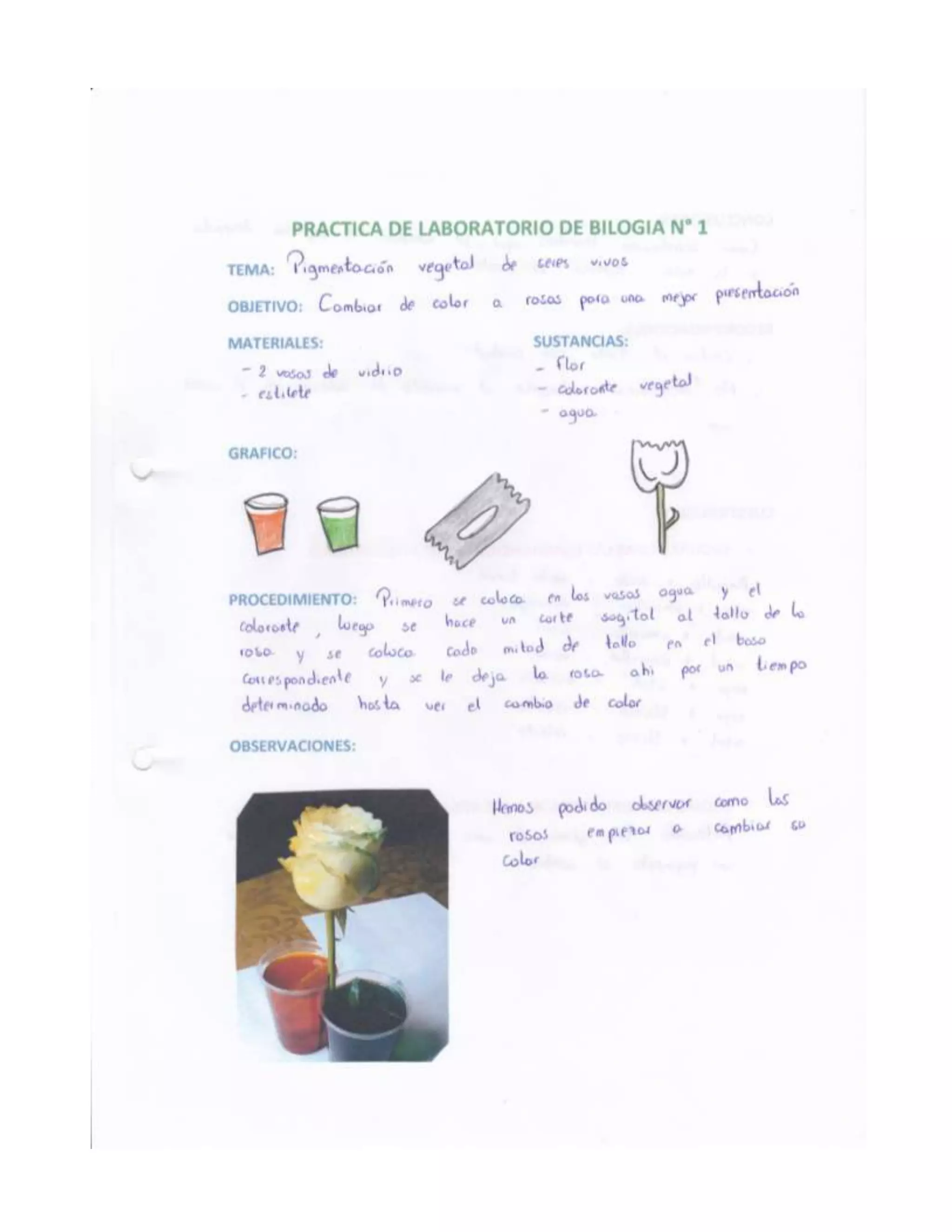 Informes de practicas