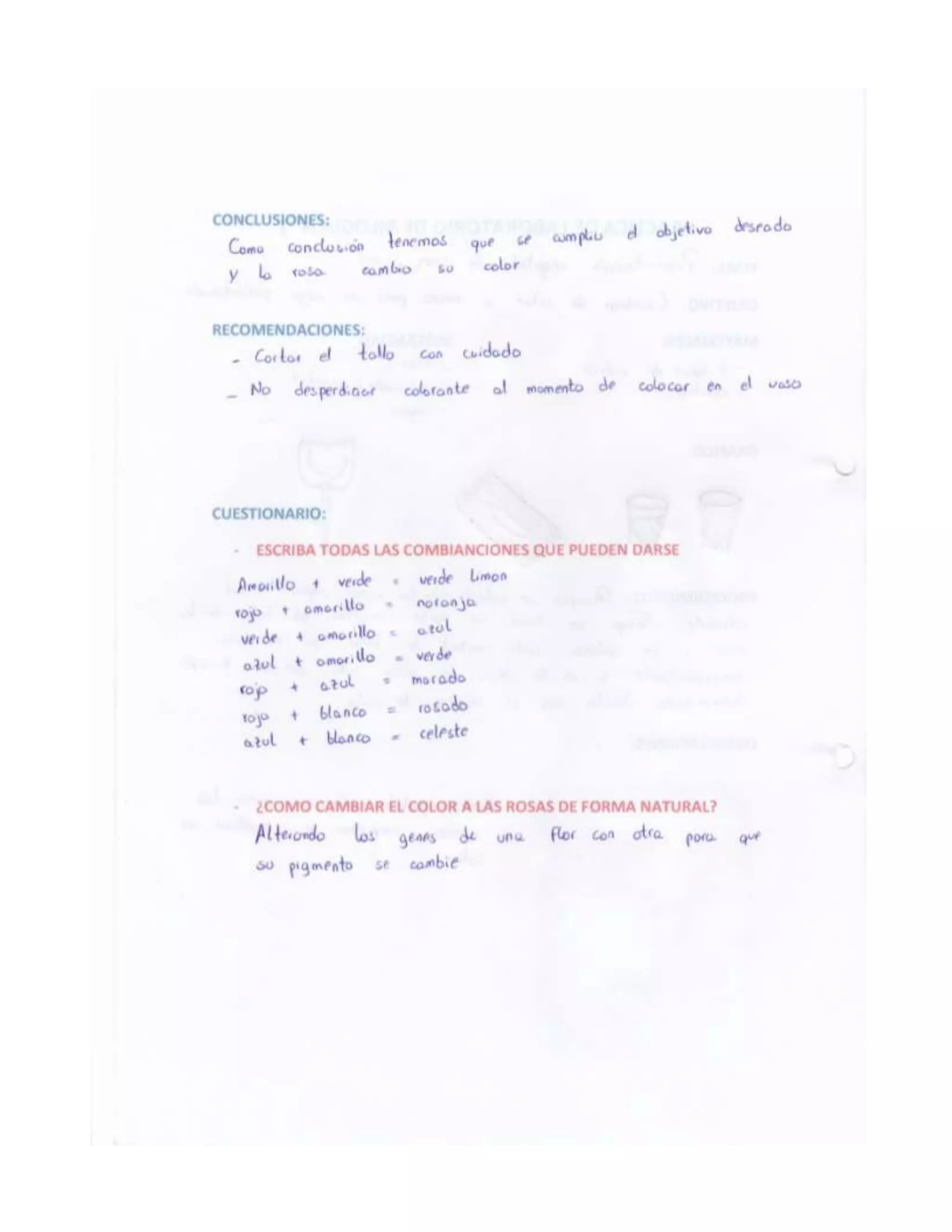 Informes de practicas