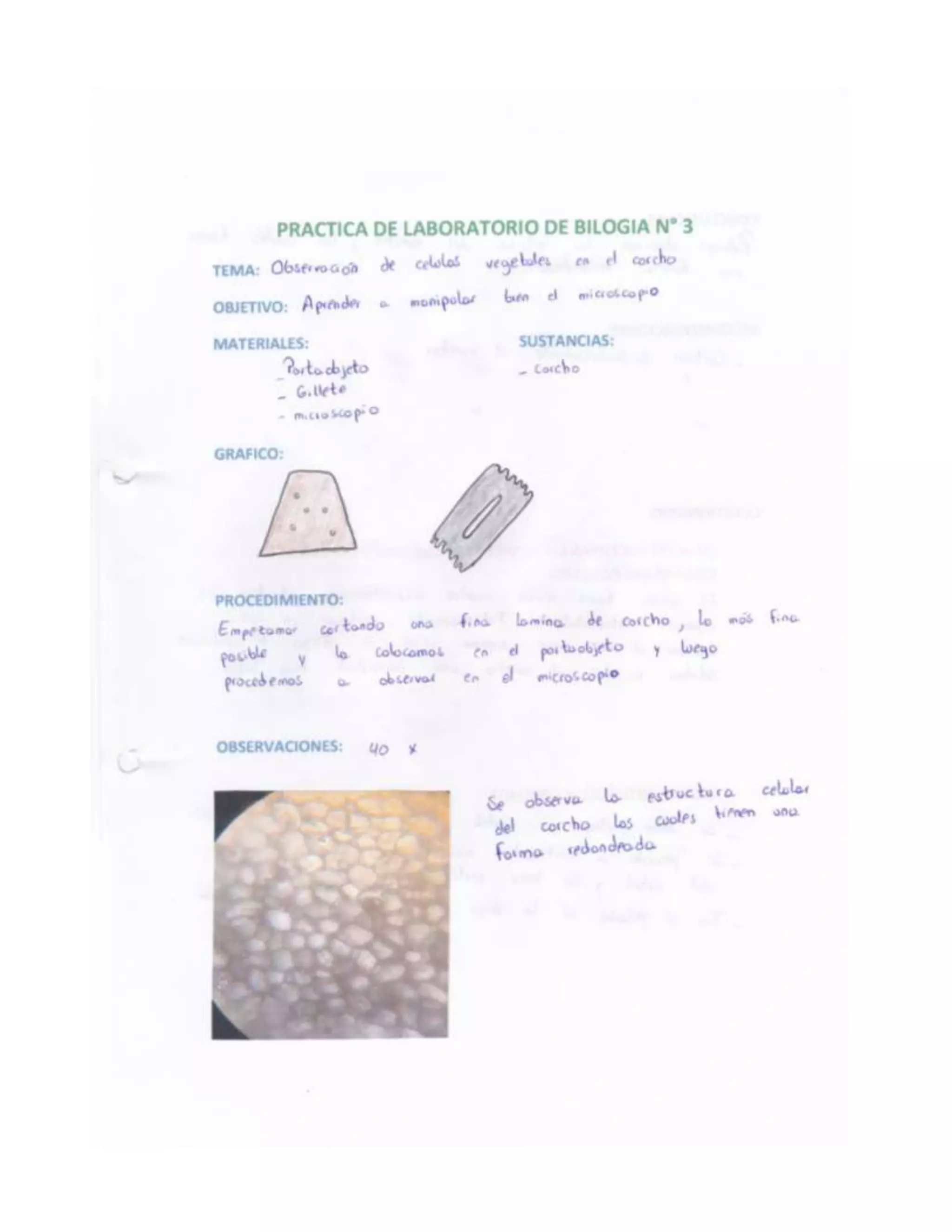 Informes de practicas