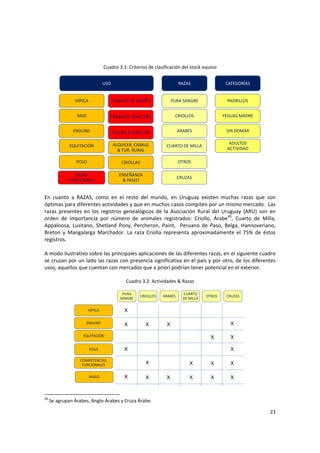 23 
Cuadro 3.1: Criterios de clasificación del stock equino 
HÍPICA
ENDURO
RAID
POLO
EQUITACIÓN
CRIOLLAS
TRABAJO DE CAMPO
RAZAS 
FUNCIONALES
POLICÍA & EJÉRCITO
TRABAJOS TRACCIÓN
USO
ENSEÑANZA 
& PASEO
ALQUILER, CABALG  
& TUR. RURAL
CRIOLLOS
CUARTO DE MILLA
ARABES
OTROS
CRUZAS
PURA SANGRE PADRILLOS
RAZAS CATEGORÍAS
YEGUAS MADRE
SIN DOMAR
ADULTOS  
ACTIVIDAD
 
En  cuanto  a  RAZAS,  como  en  el  resto  del  mundo,  en  Uruguay  existen  muchas  razas  que  son 
óptimas para diferentes actividades y que en muchos casos compiten por un mismo mercado.  Las 
razas  presentes  en  los  registros  genealógicos  de  la  Asociación  Rural  del  Uruguay  (ARU)  son  en 
orden  de  importancia  por  número  de  animales  registrados:  Criollo,  Árabe40
,  Cuarto  de  Milla, 
Appaloosa,  Lusitano,  Shetland  Pony,  Percheron,  Paint,    Peruano  de  Paso,  Belga,  Hannoveriano, 
Breton  y  Mangalarga  Marchador.  La  raza  Criolla  representa  aproximadamente  el  75%  de  éstos 
registros. 
 
A modo ilustrativo sobre las principales aplicaciones de las diferentes razas, en el siguiente cuadro 
se cruzan por un lado las razas con presencia significativa en el país y por otro, de los diferentes 
usos, aquellos que cuentan con mercados que a priori podrían tener potencial en el exterior.  
 
Cuadro 3.2: Actividades & Razas 
HÍPICA
ENDURO
POLO
EQUITACIÓN
COMPETENCIAS 
FUNCIONALES
CRIOLLOS
CUARTO 
DE MILLA
ARABES OTROS CRUZAS
PURA 
SANGRE
PASEO
X
XX
X
X
X
X
X
X
X
X
XX
X
X
X
X
X
X
 
40
 Se agrupan Árabes, Anglo‐Árabes y Cruza Árabe. 
 