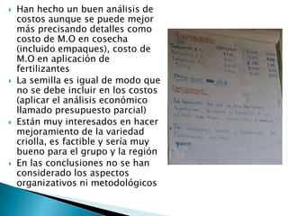 Informe seguimiento - Proyecto A4N