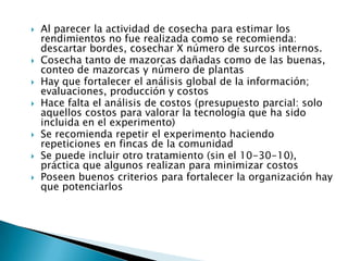 Informe seguimiento - Proyecto A4N