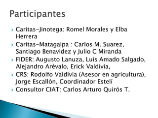 Informe seguimiento - Proyecto A4N