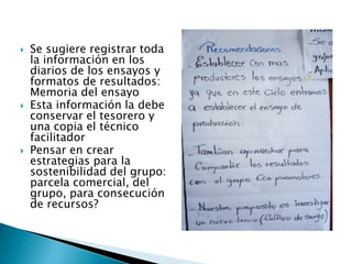 Informe seguimiento - Proyecto A4N