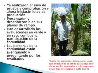 Informe seguimiento - Proyecto A4N