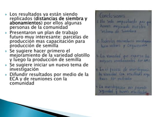Informe seguimiento - Proyecto A4N