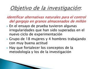 Informe seguimiento - Proyecto A4N