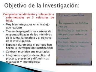 Informe seguimiento - Proyecto A4N