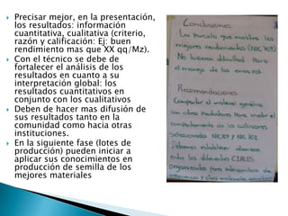 Informe seguimiento - Proyecto A4N