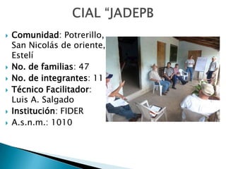 Informe seguimiento - Proyecto A4N