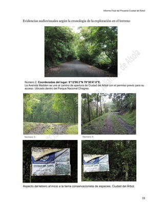 Informe Final del Proyecto Ciudad del Árbol
33
Evidencias audiovisuales según la cronología de la exploración en el terreno
Número 2. Coordenadas del lugar: 9°12'00.3"N 79°36'47.0"E.
La Avenida Madden se une al camino de apertura de Ciudad del Árbol con el permiso previo para su
acceso. Ubicado dentro del Parque Nacional Chagres.
Aspecto del letrero al inicio a la tierra conservacionista de especies, Ciudad del Árbol.
Número 3. Número 4.
 