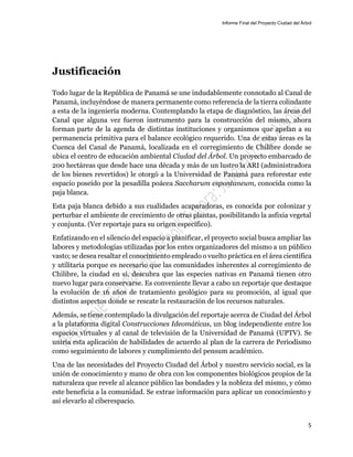 Informe Final del Proyecto Ciudad del Árbol
5
Justificación
Todo lugar de la República de Panamá se une indudablemente connotado al Canal de
Panamá, incluyéndose de manera permanente como referencia de la tierra colindante
a esta de la ingeniería moderna. Contemplando la etapa de diagnóstico, las áreas del
Canal que alguna vez fueron instrumento para la construcción del mismo, ahora
forman parte de la agenda de distintas instituciones y organismos que apelan a su
permanencia primitiva para el balance ecológico requerido. Una de estas áreas es la
Cuenca del Canal de Panamá, localizada en el corregimiento de Chilibre donde se
ubica el centro de educación ambiental Ciudad del Árbol. Un proyecto embarcado de
200 hectáreas que desde hace una década y más de un lustro la ARI (administradora
de los bienes revertidos) le otorgó a la Universidad de Panamá para reforestar este
espacio poseído por la pesadilla poácea Saccharum espontaneum, conocida como la
paja blanca.
Esta paja blanca debido a sus cualidades acaparadoras, es conocida por colonizar y
perturbar el ambiente de crecimiento de otras plantas, posibilitando la asfixia vegetal
y conjunta. (Ver reportaje para su origen específico).
Enfatizando en el silencio del espacio a planificar, el proyecto social busca ampliar las
labores y metodologías utilizadas por los entes organizadores del mismo a un público
vasto; se desea resaltar el conocimiento empleado o vuelto práctica en el área científica
y utilitaria porque es necesario que las comunidades inherentes al corregimiento de
Chilibre, la ciudad en sí, descubra que las especies nativas en Panamá tienen otro
nuevo lugar para conservarse. Es conveniente llevar a cabo un reportaje que destaque
la evolución de 16 años de tratamiento geológico para su promoción, al igual que
distintos aspectos donde se rescate la restauración de los recursos naturales.
Además, se tiene contemplado la divulgación del reportaje acerca de Ciudad del Árbol
a la plataforma digital Construcciones Ideomáticas, un blog independiente entre los
espacios virtuales y al canal de televisión de la Universidad de Panamá (UPTV). Se
uniría esta aplicación de habilidades de acuerdo al plan de la carrera de Periodismo
como seguimiento de labores y cumplimiento del pensum académico.
Una de las necesidades del Proyecto Ciudad del Árbol y nuestro servicio social, es la
unión de conocimiento y mano de obra con los componentes biológicos propios de la
naturaleza que revele al alcance público las bondades y la nobleza del mismo, y cómo
este beneficia a la comunidad. Se extrae información para aplicar un conocimiento y
así elevarlo al ciberespacio.
 