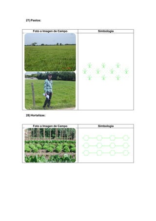 27) Pastos:
Foto o Imagen de Campo Simbología
28) Hortalizas:
Foto o Imagen de Campo Simbología
 