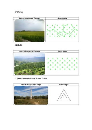 31) Arroz:
Foto o Imagen de Campo Simbología
32) Café:
Foto o Imagen de Campo Simbología
33) Vértice Geodésico de Primer Orden:
Foto o Imagen de Campo Simbología
 