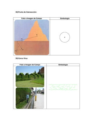 38) Punto de Intersección:
Foto o Imagen de Campo Simbología
39) Cerco Vivo:
Foto o Imagen de Campo Simbología
 
