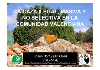 LA CAZA ILEGAL, MASIVA Y
NO SELECTIVA EN LA
COMUNIDAD VALENCIANA
Josep Bort y Lluis Bort
(GER-EA)
Grup d’Estudi i Protecció del Rapinyaires – Ecologistes en acció
 