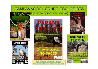 CAMPAÑAS DEL GRUPO ECOLOGISTA
(Ger-ecologistes en acció)
http://www.internatura.org/
http://www.internatura.org/grupos/ger...