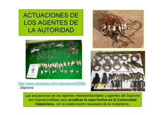ACTUACIONES DE
LOS AGENTES DE
LA AUTORIDAD
http://www.ecoticias.com/naturaleza/62588/
. Seprona
Las actuaciones de los age...