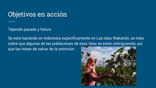 Objetivos en acción
Tejiendo pasado y futuro:
Se está haciendo en Indonesia especíﬁcamente en Las Islas Wakatobi, se trata
sobre que algunas de las poblaciones de esas Islas se están extinguiendo, así
que las tratan de salvar de la extinción.
 