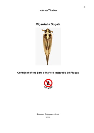 1
Informe Técnico
Cigarrinha Sogata
Conhecimentos para o Manejo Integrado de Pragas
Eduardo Rodrigues Hickel
2020
 