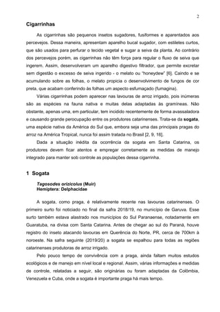 2
Cigarrinhas
As cigarrinhas são pequenos insetos sugadores, fusiformes e aparentados aos
percevejos. Dessa maneira, apresentam aparelho bucal sugador, com estiletes curtos,
que são usados para perfurar o tecido vegetal e sugar a seiva da planta. Ao contrário
dos percevejos porém, as cigarrinhas não têm força para regular o fluxo de seiva que
ingerem. Assim, desenvolveram um aparelho digestivo filtrador, que permite excretar
sem digestão o excesso de seiva ingerido - o melato ou “honeydew” [6]. Caindo e se
acumulando sobre as folhas, o melato propicia o desenvolvimento de fungos de cor
preta, que acabam conferindo às folhas um aspecto esfumaçado (fumagina).
Várias cigarrinhas podem aparecer nas lavouras de arroz irrigado, pois inúmeras
são as espécies na fauna nativa e muitas delas adaptadas às gramíneas. Não
obstante, apenas uma, em particular, tem incidido recentemente de forma avassaladora
e causando grande perocupação entre os produtores catarinenses. Trata-se da sogata,
uma espécie nativa da América do Sul que, embora seja uma das principais pragas do
arroz na América Tropical, nunca foi assim tratada no Brasil [2, 9, 16].
Dada a situação inédita da ocorrência da sogata em Santa Catarina, os
produtores devem ficar atentos e empregar corretamente as medidas de manejo
integrado para manter sob controle as populações dessa cigarrinha.
1 Sogata
Tagosodes orizicolus (Muir)
Hemiptera: Delphacidae
A sogata, como praga, é relativamente recente nas lavouras catarinenses. O
primeiro surto foi noticiado no final da safra 2018/19, no município de Garuva. Esse
surto também estava alastrado nos municípios do Sul Paranaense, notadamente em
Guaratuba, na divisa com Santa Catarina. Antes de chegar ao sul do Paraná, houve
registro do inseto atacando lavouras em Querência do Norte, PR, cerca de 700km à
noroeste. Na safra seguinte (2019/20) a sogata se espalhou para todas as regiões
catarinenses produtoras de arroz irrigado.
Pelo pouco tempo de convivência com a praga, ainda faltam muitos estudos
ecológicos e de manejo em nível local e regional. Assim, várias informações e medidas
de controle, relatadas a seguir, são originárias ou foram adaptadas da Colômbia,
Venezuela e Cuba, onde a sogata é importante praga há mais tempo.
 