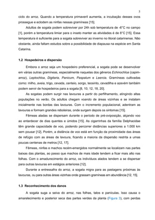 5
ciclo do arroz. Quando a temperatura primaveril aumenta, a incubação desses ovos
prossegue e eclodem as ninfas nessas gramíneas [15].
Adultos de sogata podem sobreviver por 24h sob temperatura de -6°C no campo
[1], porém a temperatura limiar para o inseto manter as atividades é de 8°C [15]. Essa
temperatura é suficiente para a sogata sobreviver ao inverno no litoral catarinense. Não
obstante, ainda faltam estudos sobre a possibilidade de diapausa na espécie em Santa
Catarina.
1.2 Hospedeiros e dispersão
Embora o arroz seja um hospedeiro preferencial, a sogata pode se desenvolver
em várias outras gramíneas, especialmente naquelas dos gêneros Echinochloa (capim-
arroz), Leptochloa, Digitaria, Panicum, Paspalum e Leercia. Gramíneas cultivadas
como: milho, aveia, trigo, cevada, centeio, sorgo, teosinto, cevadilha e azevém também
podem servir de hospedeiros para a sogata [8, 10, 12, 18, 20].
As sogatas podem surgir nas lavouras a partir do perfilhamento, atingindo altas
populações no verão. Os adultos chegam voando de áreas vizinhas e se instalam
inicialmente nas bordas das lavouras. Com o incremento populacional, adentram as
lavouras e formam grandes reboleiras, onde surgem depois os sintomas [15].
Fêmeas aladas se dispersam durante o período de pré-oviposição, alçando voo
ao entardecer de dias quentes e úmidos [15]. As cigarrinhas da família Delphacidae
têm grande capacidade de voo, podendo percorrer distâncias superiores a 1.000 km
sem pousar [12]. Porém, a distância de voo está em função da proximidade das áreas
de refúgio com as áreas de lavoura, ficando a maioria da dispersão restrita a umas
poucas centenas de metros [12, 17].
Fêmeas, ninfas e machos recém-emergidos normalmente se localizam nas partes
baixas das plantas, ao passo que machos de mais idade tendem a ficar mais alto nas
folhas. Com o amadurecimento do arroz, os indivíduos alados tendem a se dispersar
para outras lavouras em estágios anteriores [12].
Durante a entressafra do arroz, a sogata migra para as pastagens próximas às
lavouras, ou para outras áreas vizinhas onde grassam gramíneas em abundância [12, 15].
1.3 Reconhecimento dos danos
A sogata suga a seiva do arroz, nas folhas, talos e panículas. Isso causa o
amarelecimento e posterior seca das partes verdes da planta (Figura 3), com perdas
 