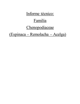 Informe técnico:
Familia
Chenopodiaceae
(Espinaca – Remolacha – Acelga)
 