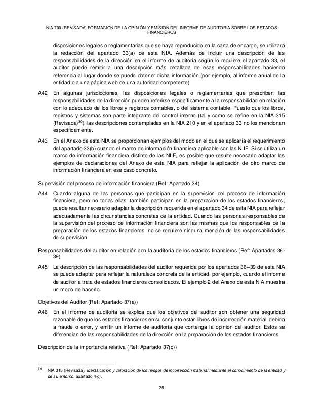 Informes sobre Estados Financieros Auditados - NIAS 