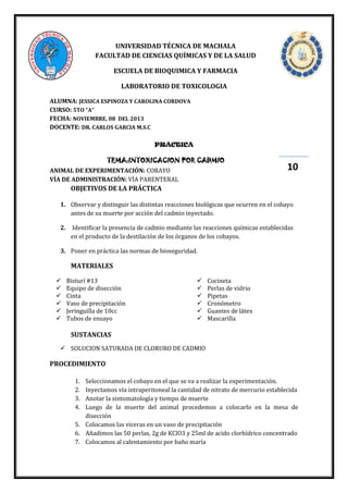 UNIVERSIDAD TÉCNICA DE MACHALA
FACULTAD DE CIENCIAS QUÍMICAS Y DE LA SALUD
ESCUELA DE BIOQUIMICA Y FARMACIA
LABORATORIO DE TOXICOLOGIA
ALUMNA: JESSICA ESPINOZA Y CAROLINA CORDOVA
CURSO: 5TO “A”
FECHA: NOVIEMBRE, 08 DEL 2013
DOCENTE: DR. CARLOS GARCIA M.S.C
PRACTICA

TEMA:INTOXICACION POR CADMIO
ANIMAL DE EXPERIMENTACIÓN: COBAYO
VÍA DE ADMINISTRACIÓN: VÍA PARENTERAL

10

OBJETIVOS DE LA PRÁCTICA
1. Observar y distinguir las distintas reacciones biológicas que ocurren en el cobayo
antes de su muerte por acción del cadmio inyectado.
2.

Identificar la presencia de cadmio mediante las reacciones químicas establecidas
en el producto de la destilación de los órganos de los cobayos.

3. Poner en práctica las normas de bioseguridad.

MATERIALES







Bisturí #13
Equipo de disección
Cinta
Vaso de precipitación
Jeringuilla de 10cc
Tubos de ensayo








Cocineta
Perlas de vidrio
Pipetas
Cronómetro
Guantes de látex
Mascarilla

SUSTANCIAS
 SOLUCION SATURADA DE CLORURO DE CADMIO

PROCEDIMIENTO
1.
2.
3.
4.

Seleccionamos el cobayo en el que se va a realizar la experimentación.
Inyectamos vía intraperitoneal la cantidad de nitrato de mercurio establecida
Anotar la sintomatología y tiempo de muerte
Luego de la muerte del animal procedemos a colocarlo en la mesa de
disección
5. Colocamos las viceras en un vaso de precipitación
6. Añadimos las 50 perlas, 2g de KClO3 y 25ml de acido clorhídrico concentrado
7. Colocamos al calentamiento por baño maría

 