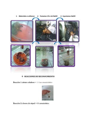 1. Materiales a utilizarse

2. Tomamos 10 cc de NaOH

 REACCIONES DE RECONOCIMIENTO
Reacción 1: nitrato cobaltoso = ( +) no caracterisitico

Reacción 2: cloruro de níquel = (+) característico

3. Inyectamos NaOH

 