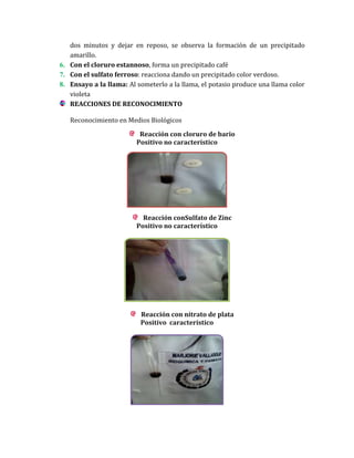 dos minutos y dejar en reposo, se observa la formación de un precipitado
amarillo.
6. Con el cloruro estannoso, forma un precipitado café
7. Con el sulfato ferroso: reacciona dando un precipitado color verdoso.
8. Ensayo a la llama: Al someterlo a la llama, el potasio produce una llama color
violeta
REACCIONES DE RECONOCIMIENTO
Reconocimiento en Medios Biológicos
Reacción con cloruro de bario
Positivo no característico

Reacción conSulfato de Zinc
Positivo no característico

Reacción con nitrato de plata
Positivo característico

 