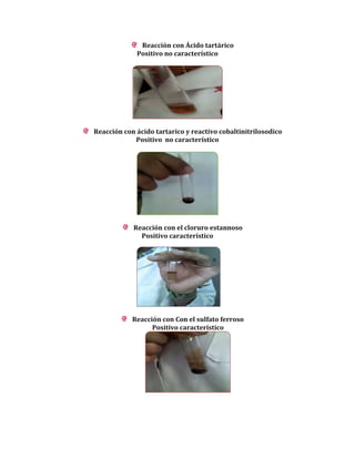 Reacción con Ácido tartárico
Positivo no característico

Reacción con ácido tartarico y reactivo cobaltinitrilosodico
Positivo no característico

Reacción con el cloruro estannoso
Positivo característico

Reacción con Con el sulfato ferroso
Positivo característico

 