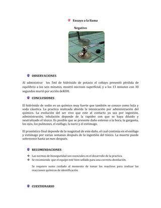 Ensayo a la llama
Negativo

OBSERVACIONES
Al administrar los 5ml de hidróxido de potasio el cobayo presentó pérdida de
equilibrio a los seis minutos, mostró necrosis superficial, y a los 13 minutos con 30
segundos murió por acción deKOH.
CONCLUSIONES
El hidróxido de sodio es un químico muy fuerte que también se conoce como lejía y
soda cáustica. La practica realizada aborda la intoxicación por administración del
químico. La evolución del ser vivo que este al contacto ya sea por ingestión,
administración, inhalación depende de la rapidez con que se haya diluido y
neutralizado el tóxico. Es posible que se presente daño extenso a la boca, la garganta,
los ojos, los pulmones, el esófago, la nariz y el estómago.
El pronóstico final depende de la magnitud de este daño, el cual continúa en el esófago
y estómago por varias semanas después de la ingestión del tóxico. La muerte puede
sobrevenir hasta un mes después.
RECOMENDACIONES
 Las normas de bioseguridad son esenciales en el desarrollo de la practica.
 Se recomienda que el equipo esté bien sellado para una correcta destilación.
Se requiere sumo cuidado al momento de tomar los reactivos para realizar las
reacciones químicas de identificación

CUESTIONARIO

 
